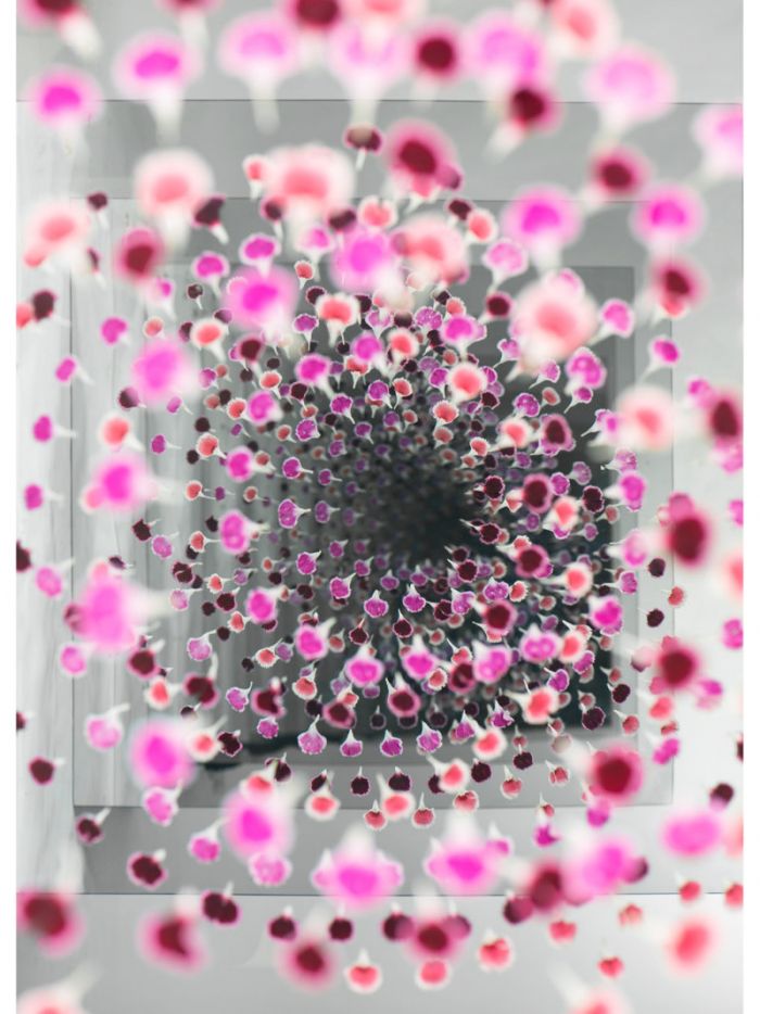 sarah-meyohas-floral-tunnels-3-800x1068