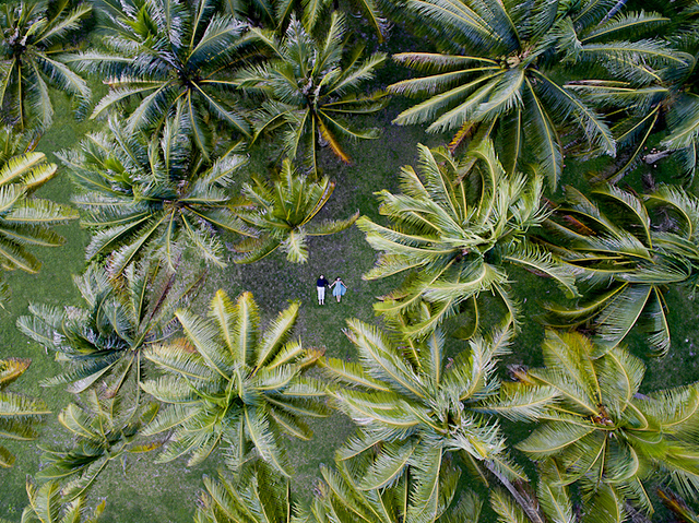 ˻-09