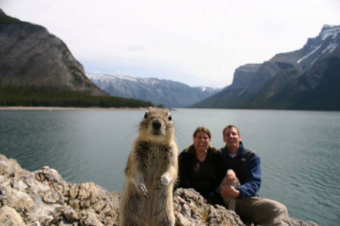 Squirrel Photobombs Engagement Shoot in the Best Way Possible 4