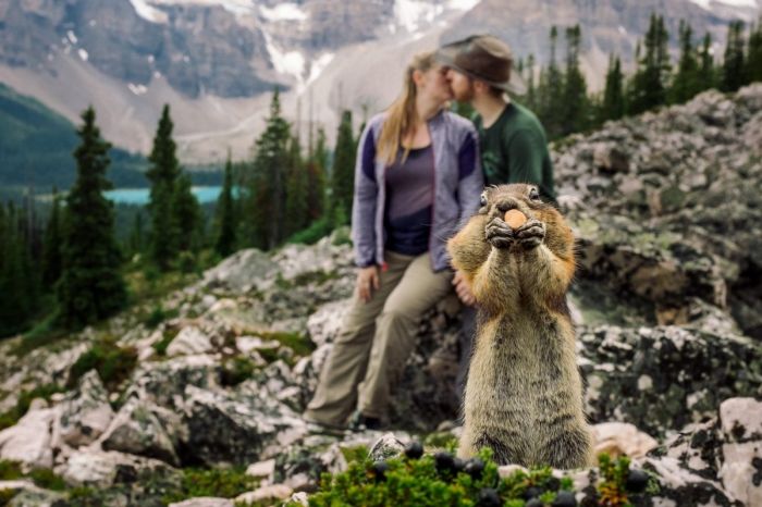 Squirrel Photobombs Engagement Shoot in the Best Way Possible 1