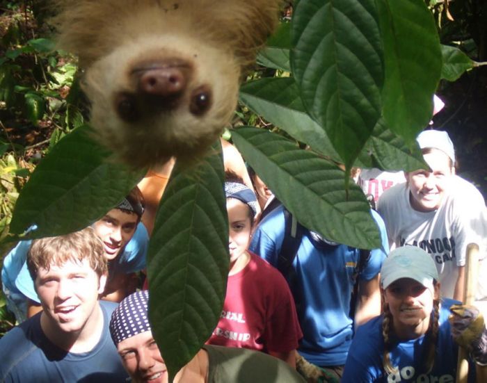 Squirrel Photobombs Engagement Shoot in the Best Way Possible 6