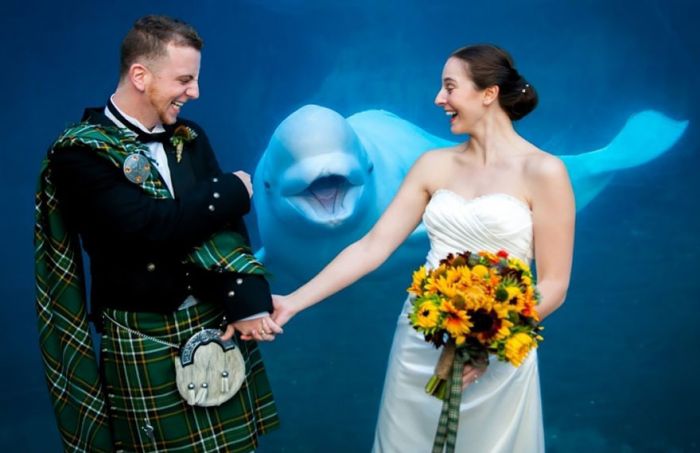 Squirrel Photobombs Engagement Shoot in the Best Way Possible 8