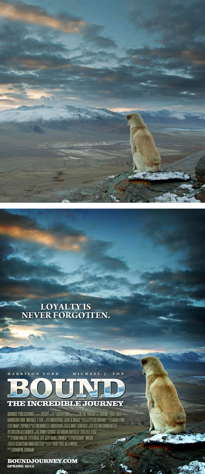 random-photos-turned-into-movie-posters-150__700