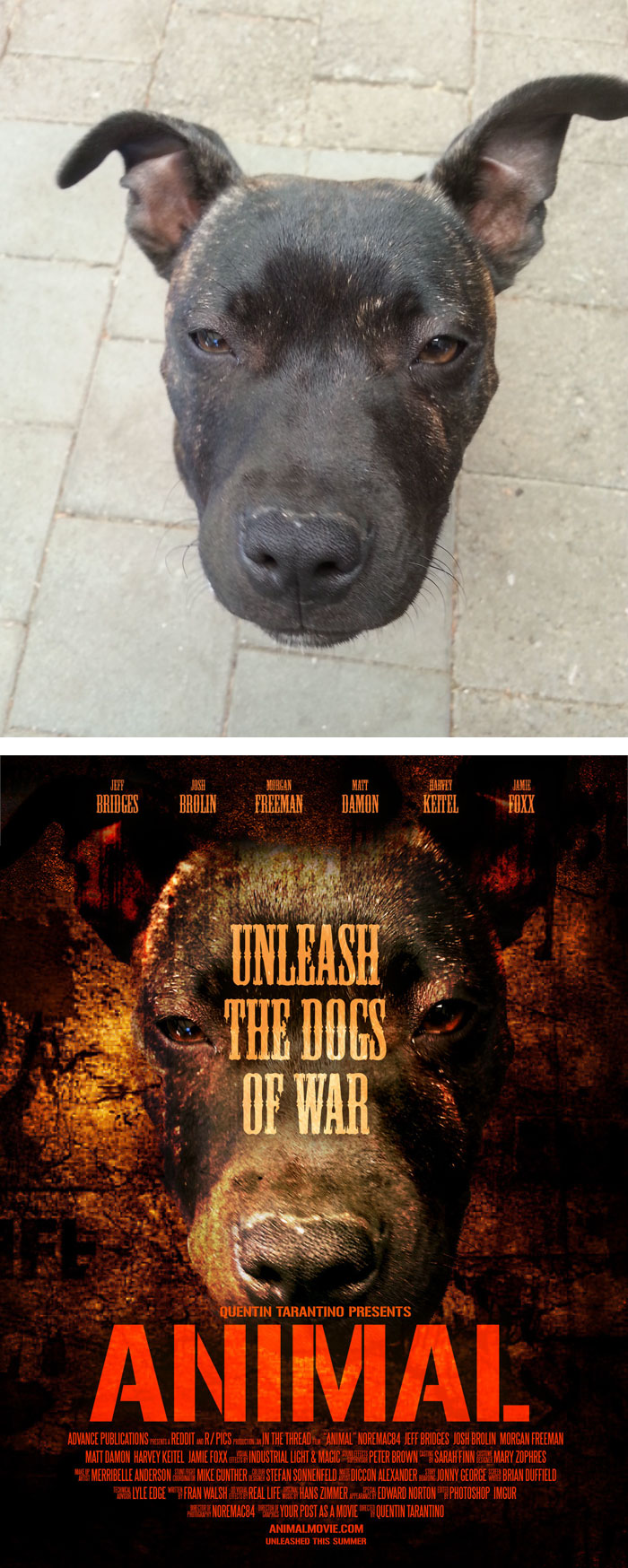 random-photos-turned-into-movie-posters-149__700