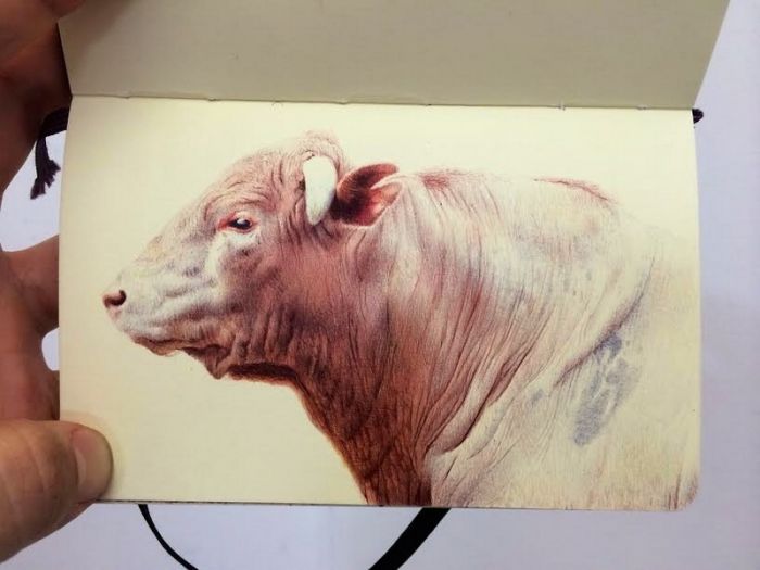 color-ballpoint-pen-drawings-preesee-nicolas-sanchez_01