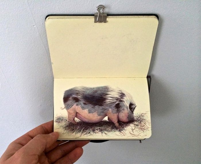 color-ballpoint-pen-drawings-preesee-nicolas-sanchez_11