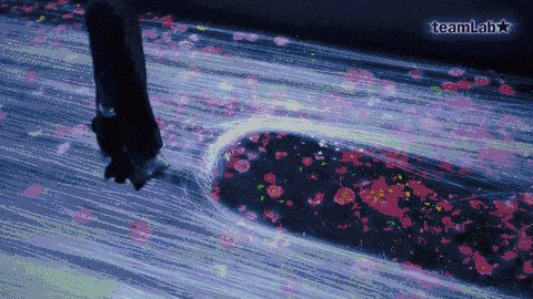 ˮε桷teamLab, 2017